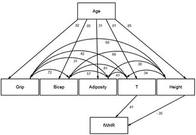 Response: Commentary: Facial Width-to-Height Ratio (fWHR) Is Not Associated with Adolescent Testosterone Levels